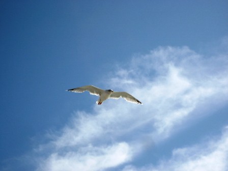 032_Norderney_2009_BO